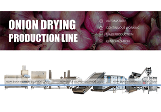 onion drying production line